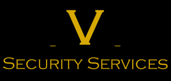 V Security